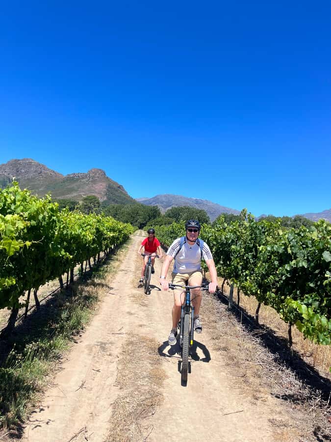 From Cape Town: Franschhoek Vineyards Bike Tour with Lunch - The Huguenot Memorial and the valley’s French roots
