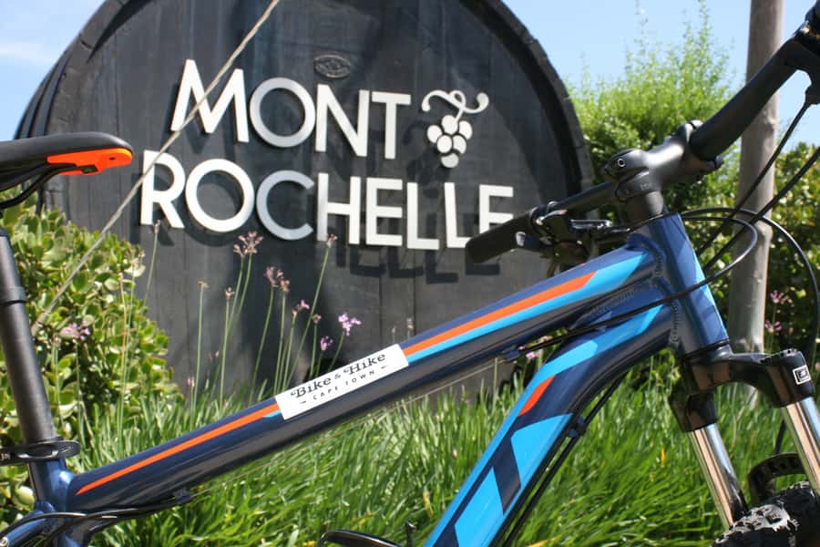From Cape Town: Franschhoek Vineyards Bike Tour with Lunch - What the high rating tells you about the experience