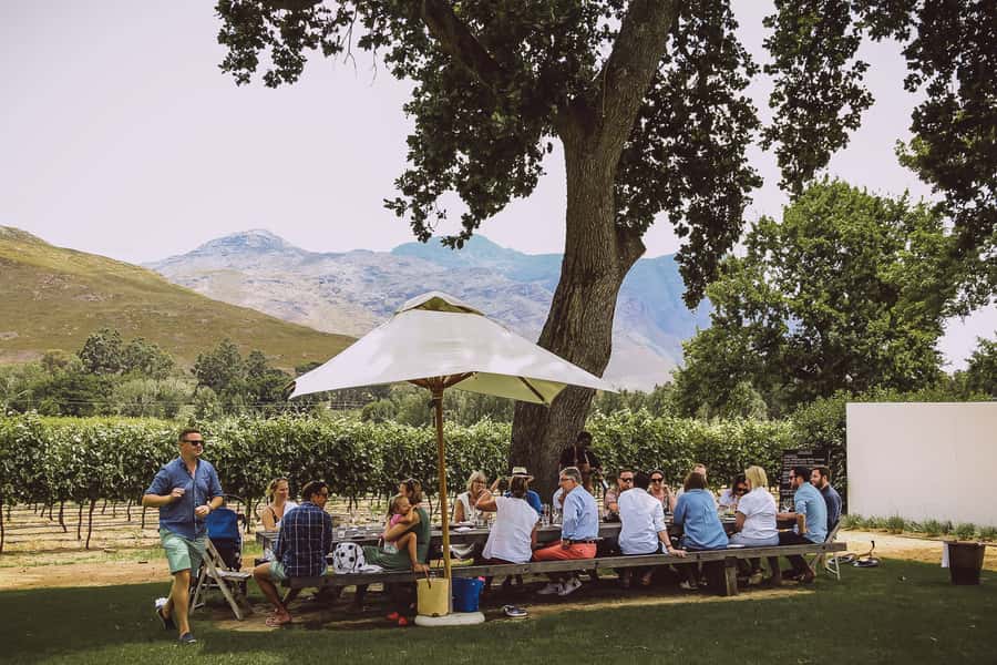 From Cape Town: Franschhoek Wine Tram Hop-on Hop-off - What the wine estates offer