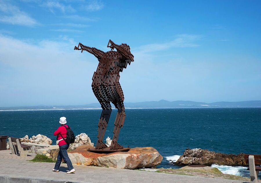 From Cape Town: Full-Day Cape Agulhas Private Tour - The return drive through coastal towns