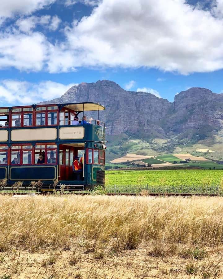 From Cape Town: Full-Day Cape Winelands Taste Tour + Tram - The value of $143 per person