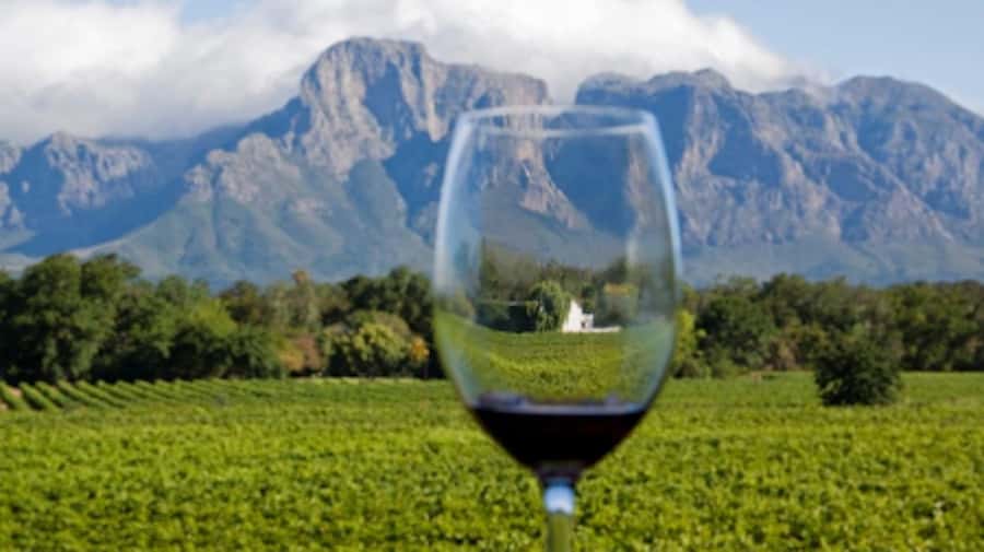 From Cape Town: Full-Day Cape Winelands Taste Tour + Tram - Should you book the Cape Winelands Taste Tour?