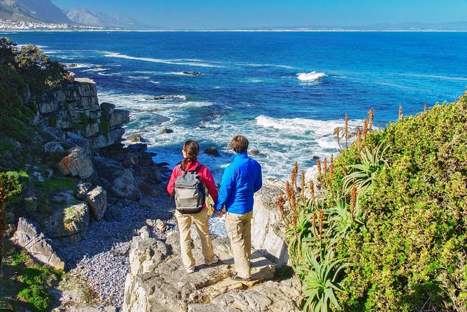 From Cape Town: Full Day Guided Hermanus and Whale Tour - Why this Hermanus day trip works so well