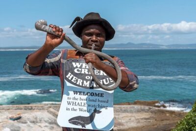 Full Day Guided Hermanus and Whale Tour