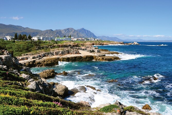From Cape Town: Full Day Guided Hermanus and Whale Tour - Wine Village and Hemel-en-Aarde Valley tasting