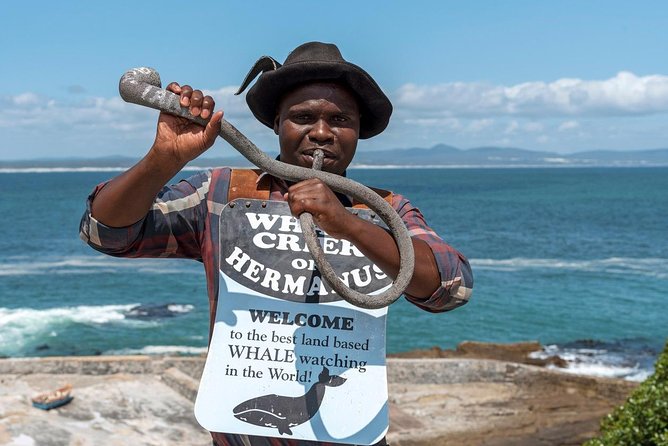 From Cape Town: Full Day Guided Hermanus and Whale Tour - Gordon’s Bay and the 1950s Pitstop