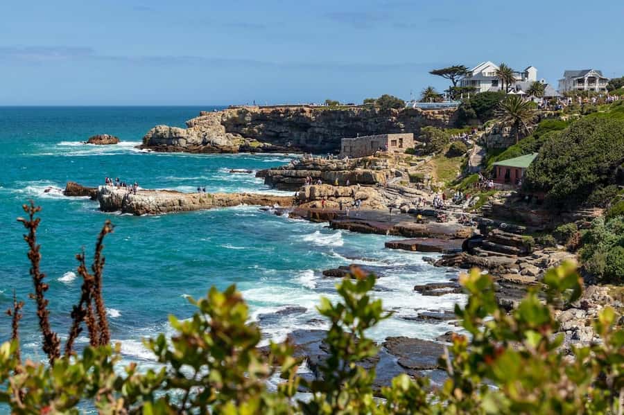 From Cape Town: Full-Day Hermanus Whale Watching Tour - Why Hermanus is the star of the day