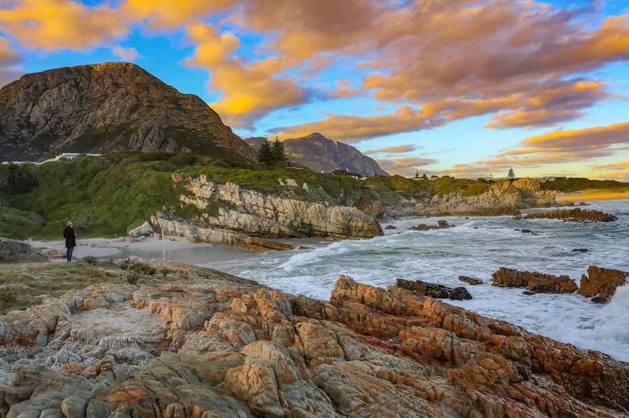 From Cape Town: Full-Day Hermanus Whale Watching Tour - Adding the boat trip in Hermanus