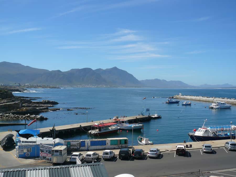 From Cape Town: Full Day Hermanus Whale Watching Tour - What the $120 price really covers