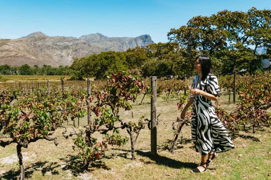 From Cape Town: Full Day Winelands Tour with wine tastings - Why this Cape Winelands route works