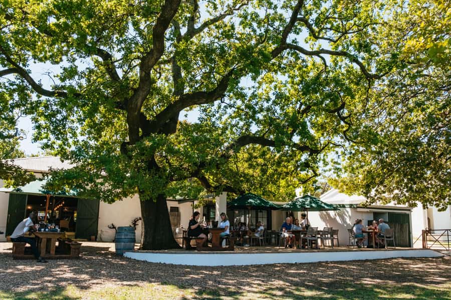 From Cape Town: Full Day Winelands Tour with wine tastings - Franschhoek, French roots, and the second tasting