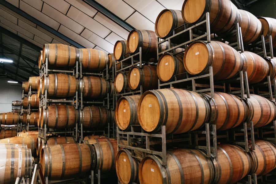 From Cape Town: Full Day Winelands Tour with wine tastings - Is three tastings enough for $120?