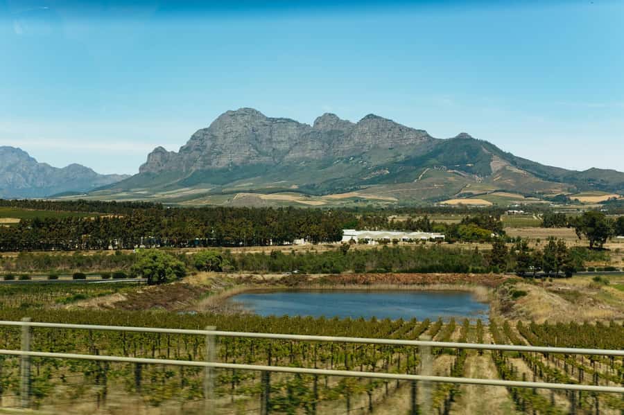From Cape Town: Full Day Winelands Tour with wine tastings - What to bring for a comfortable day