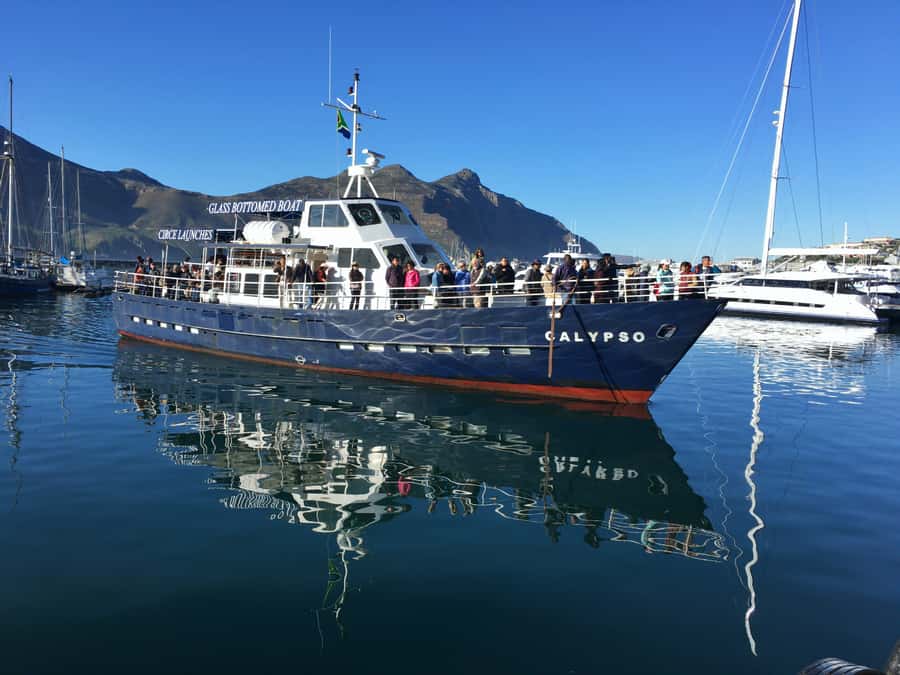 From Cape Town: Glass-Bottom Boat Seal Watching Tour - Key points to know before you book
