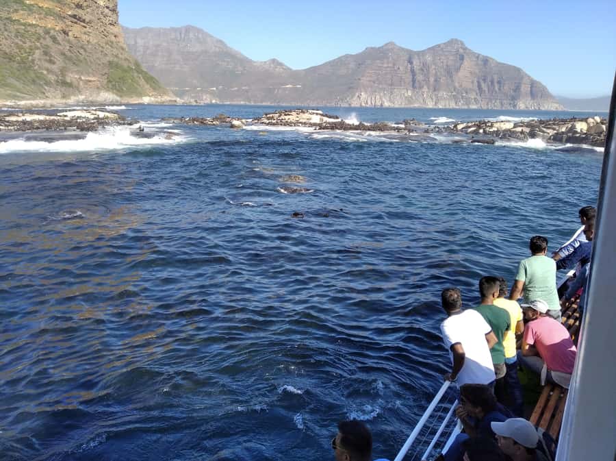 From Cape Town: Glass-Bottom Boat Seal Watching Tour - Arriving at Duiker Island, Cape Towns Seal Island