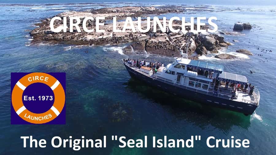 From Cape Town: Glass-Bottom Boat Seal Watching Tour - The return ride and possible wildlife