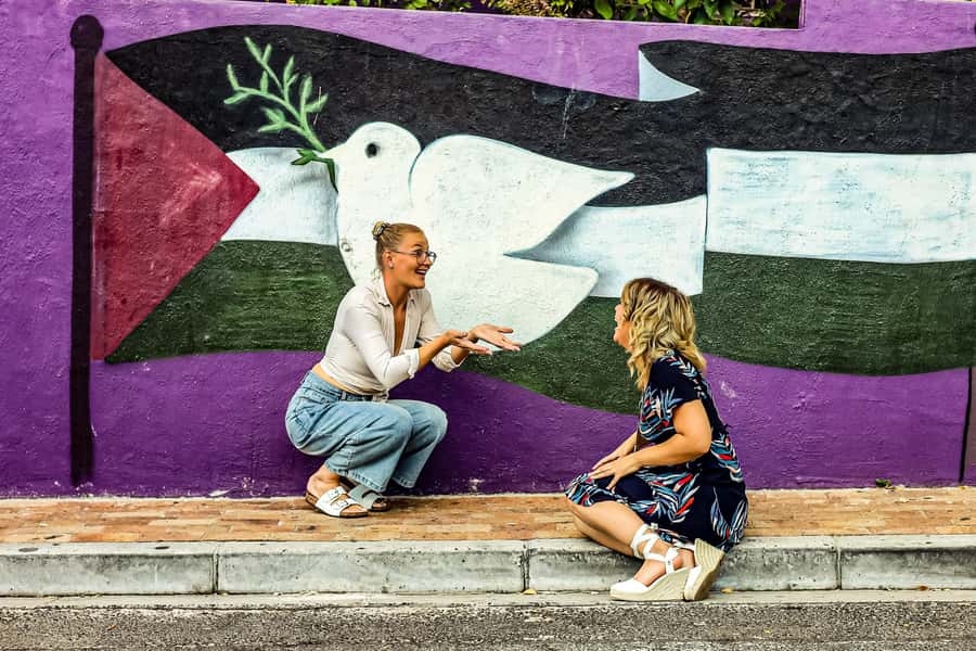 From Cape Town: Half-Day Boulders Beach and Penguins Tour - Meeting African penguins at Boulders Beach