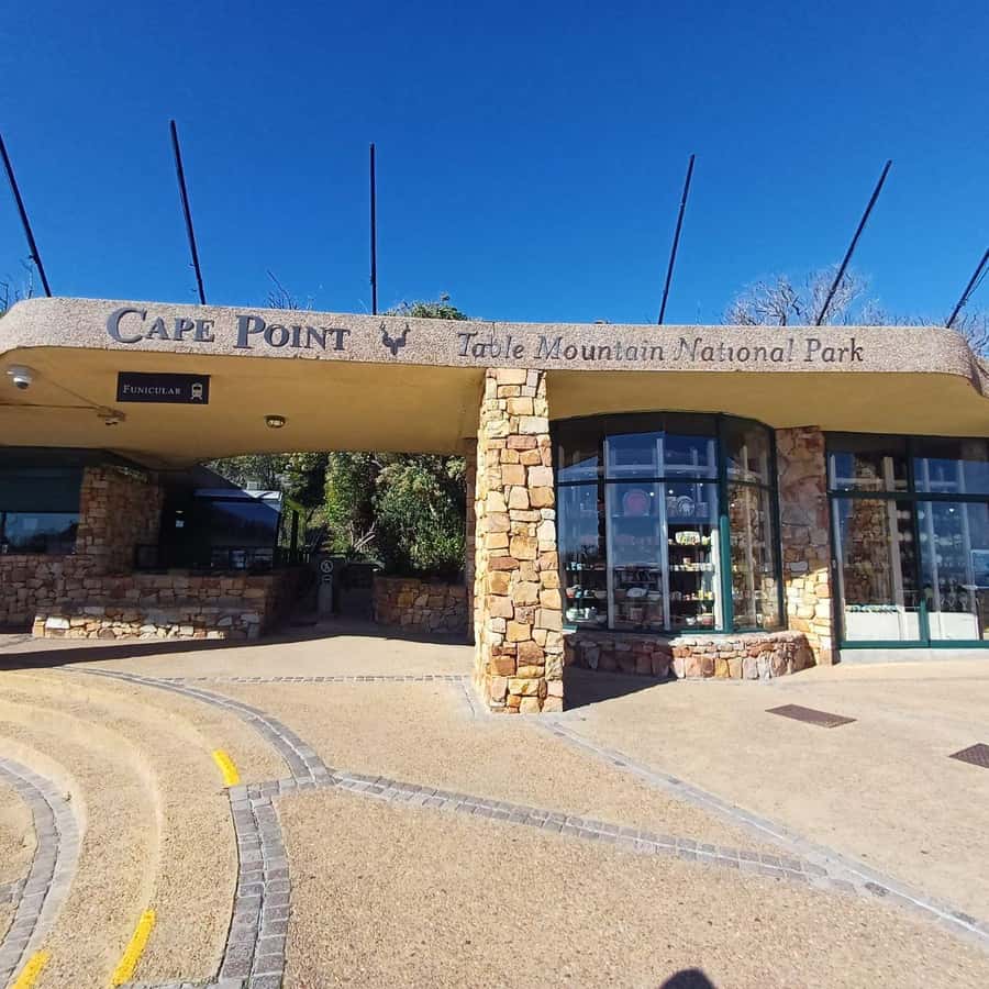 From Cape Town: Half Day Cape Point & Penguins Tour - Why this half-day route works