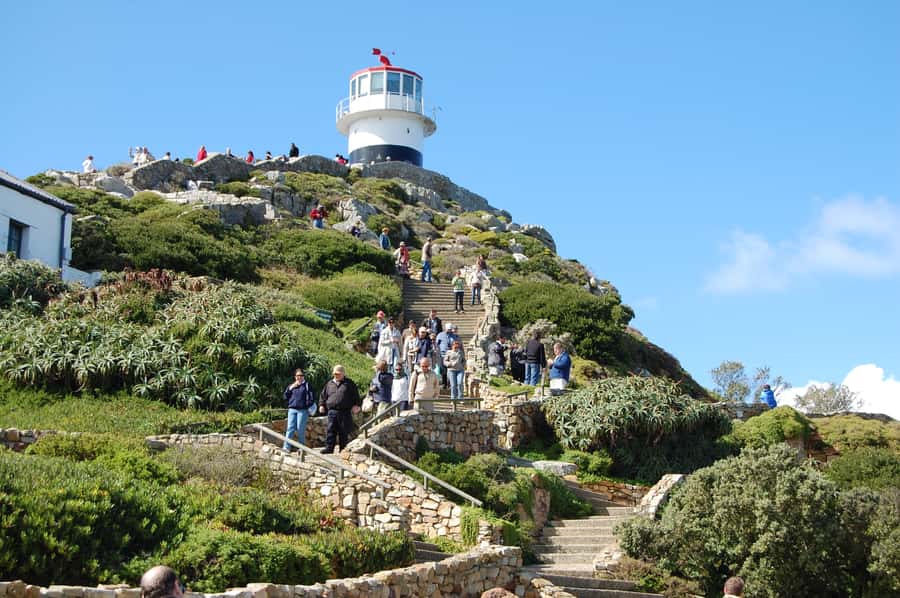 From Cape Town: Half Day Cape Point & Penguins Tour - Central Cape Town pickup starts the morning