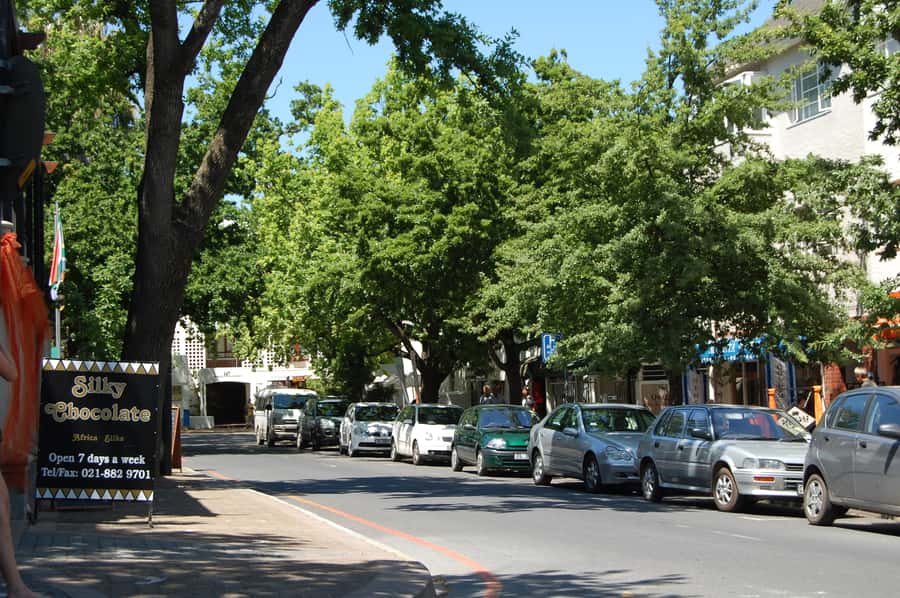 From Cape Town: Half Day Winelands Tour with winetasting - The value of $71
