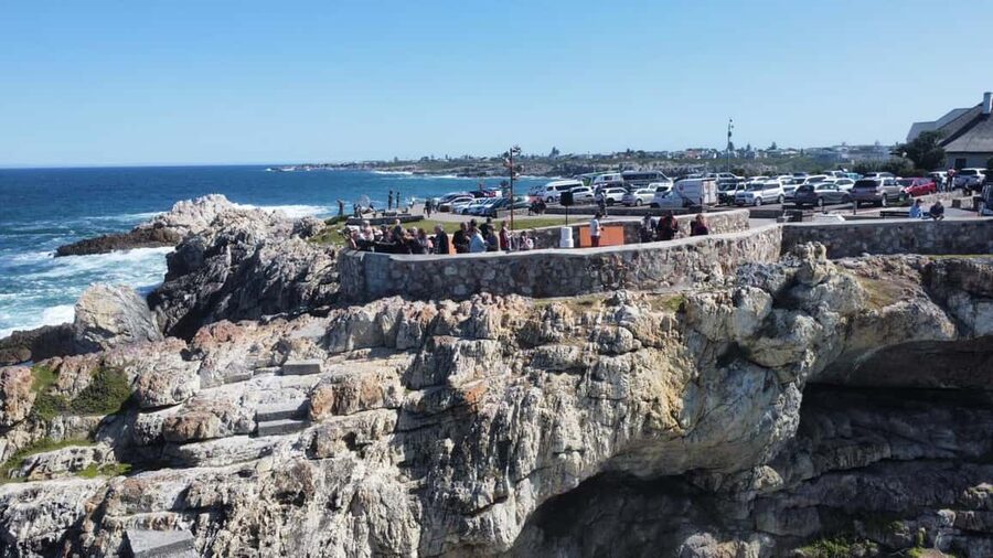 From Cape Town: Hermanus Whale Watching Tour with Boat Trip - Key points at a glance