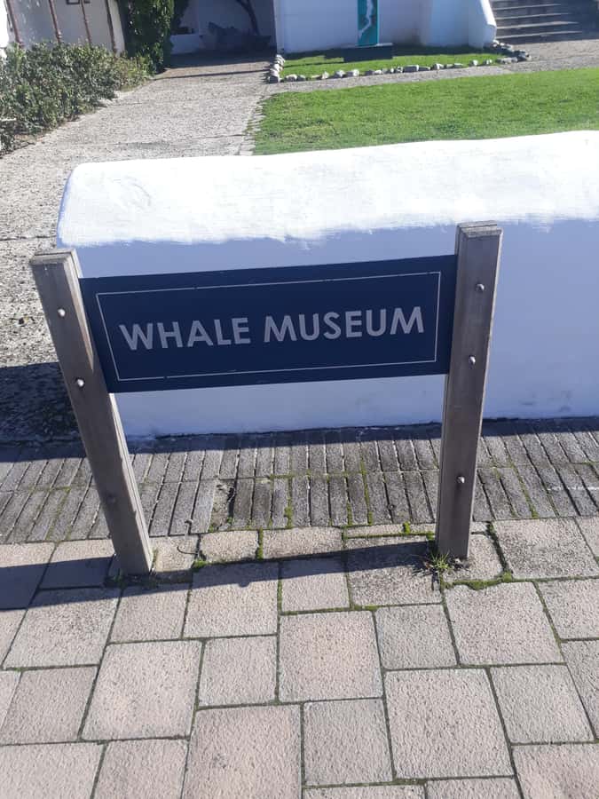 From Cape Town: Hermanus Whale Watching Tour with Transfer - The two-hour road from Cape Town to Hermanus