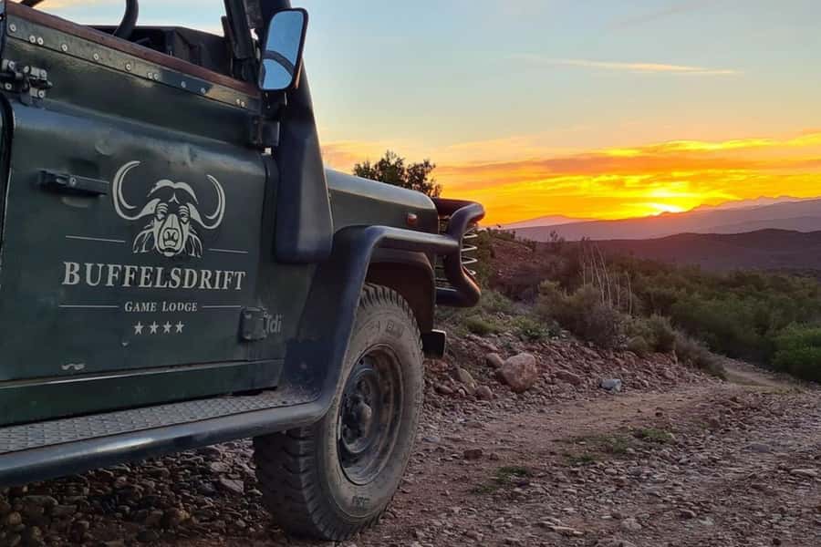 From Cape Town: South African Wildlife and Safari 2-Day Tour - What this two-day safari from Cape Town really is