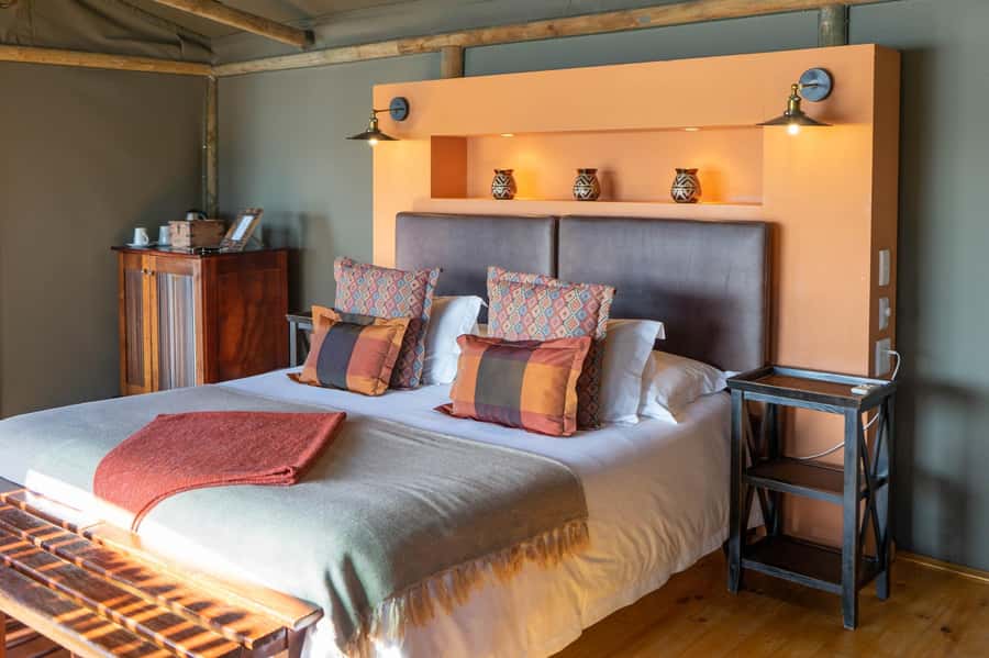 From Cape Town: South African Wildlife and Safari 2-Day Tour - The rescued elephant observation is worth considering