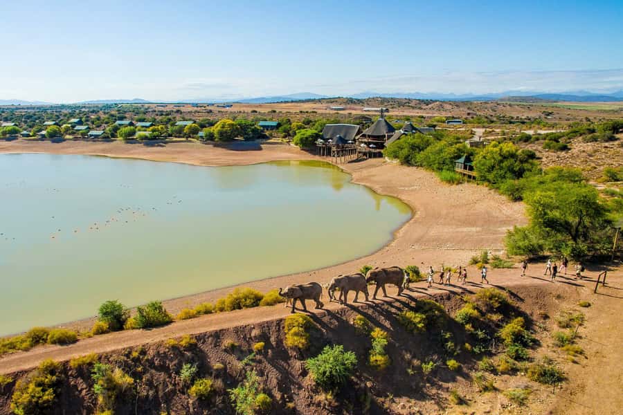 From Cape Town: South African Wildlife and Safari 2-Day Tour - Route 62 turns the return journey into another attraction