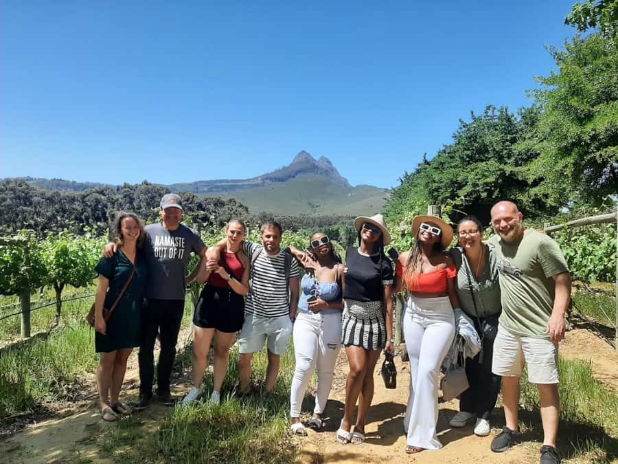 From Cape Town: Stellenbosch Four Estate Full-Day Wine Tour - Why Stellenbosch makes such a good wine day