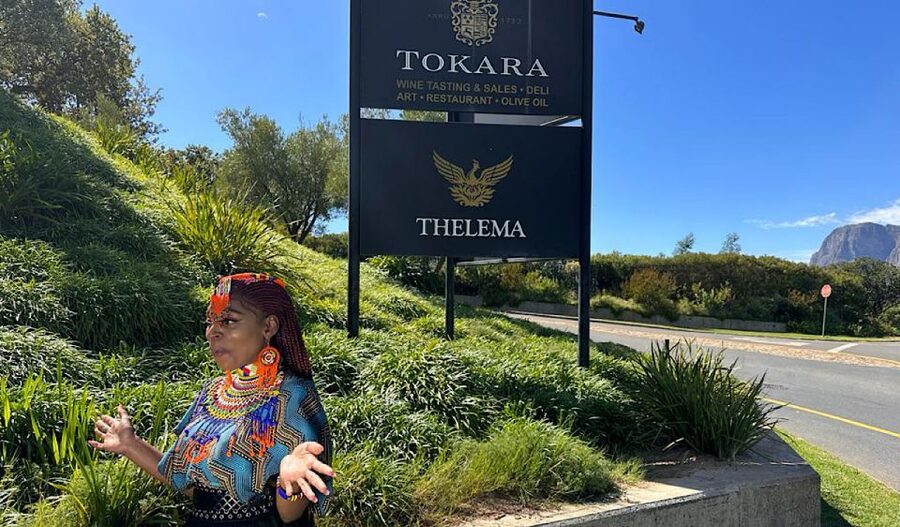 From Cape Town: Stellenbosch & Franschhoek Wine Tasting Tour - Choosing the right package and judging the price