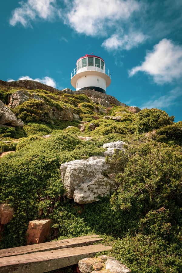 From Cape Town: Table Mountain and Cape of Good Hope Tour - Chapman’s Peak gives you the road-trip moment