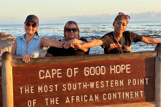 From Cape Town: Table Mountain, Cape of Good Hope & Penguins including Park Fees - Noordhoek and the vineyard are optional detours