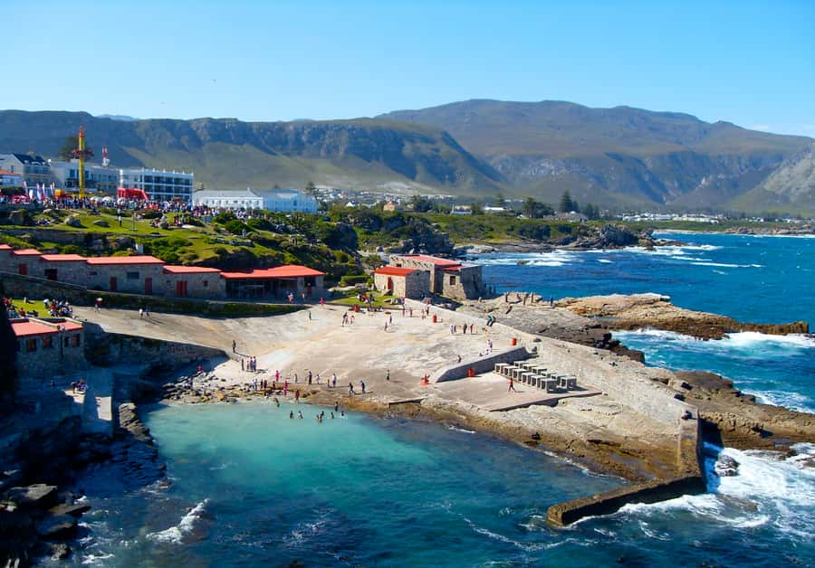From Cape Town: Whale Watching Tour in Hermanus and Gansbaai - Stony Point penguins and Betty’s Bay options