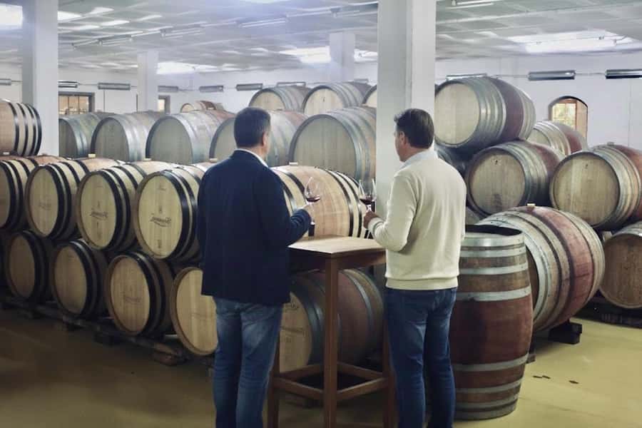 From Cape Town: Winelands Full Day Tour and Wine Tasting - Is $102 good value?