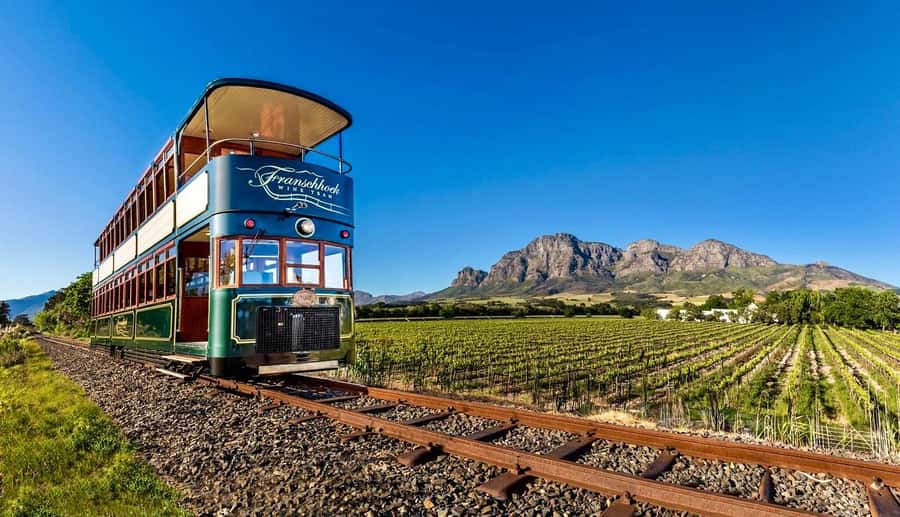 From Cape Town: Winelands Full Day Tour and Wine Tasting - Stellenbosch: wine, streets, and a first taste