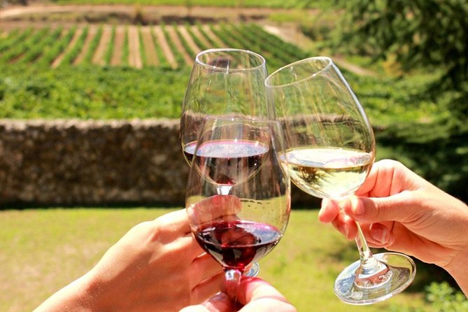 From CapeTown: Stellenbosch Half Day Wine Tour - Six wines and cheese in the barrel-shaped tasting pods