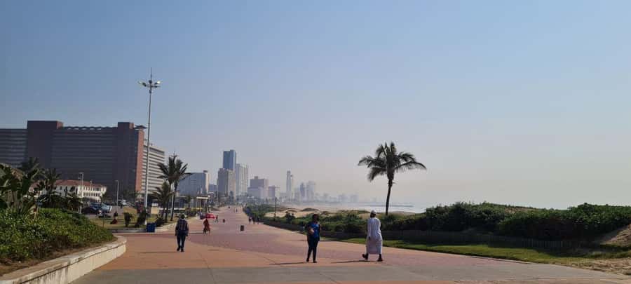 From Durban: Half Day Durban City Tour - City Hall, harbor views, and Durban’s working side