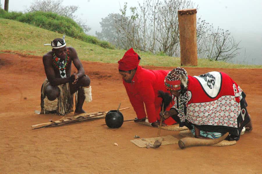 From Durban: Safari & PheZulu Village Day Tour - The Zulu dance performance