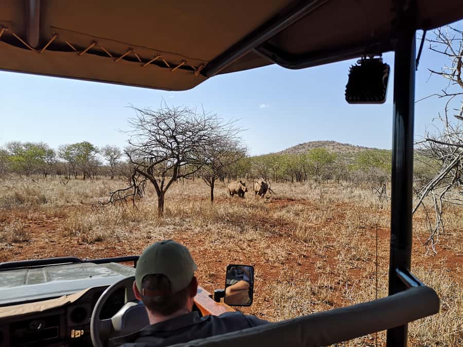 From Durban: Wildlife Lovers Big 5 Safari at 2 Game Reserves - Hilltop Camp lunch and a useful pause