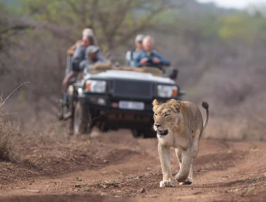 From Durban: Wildlife Lovers Big 5 Safari at 2 Game Reserves - Entering Manyoni for the four-hour open 4x4 drive