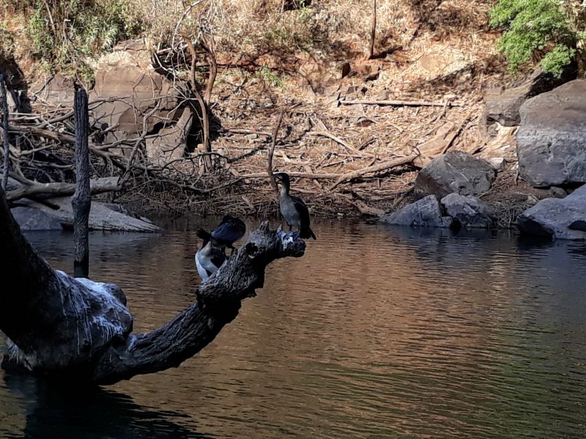 From Hazyview: Blyde River Canyon Highlight & Boat Cruise - Why this day trip works from Hazyview