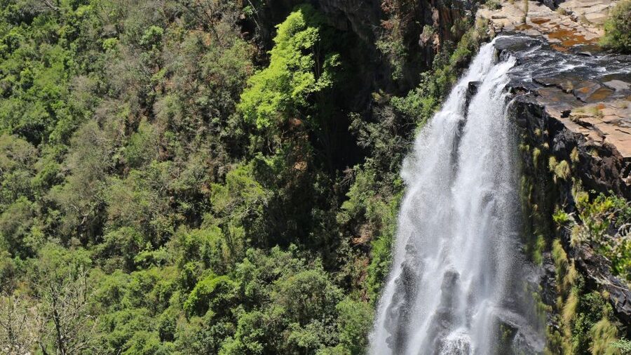 From Hazyview: Blyde River Canyon Highlight & Boat Cruise - Gods Window and the first look across the Lowveld