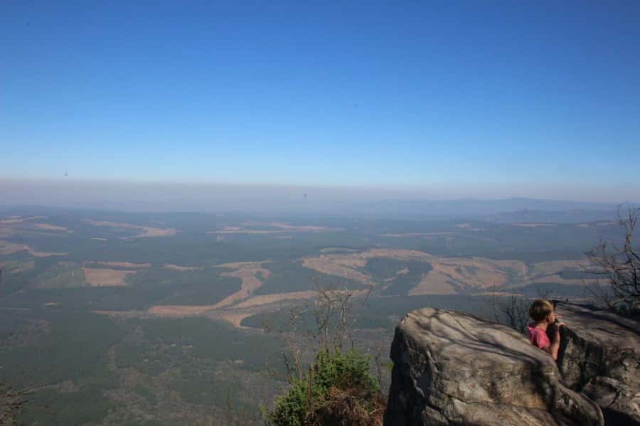 From Hazyview: Full-Day Panorama Route & Gorge Lift Tour - Starting in Hazyview and climbing toward Graskop
