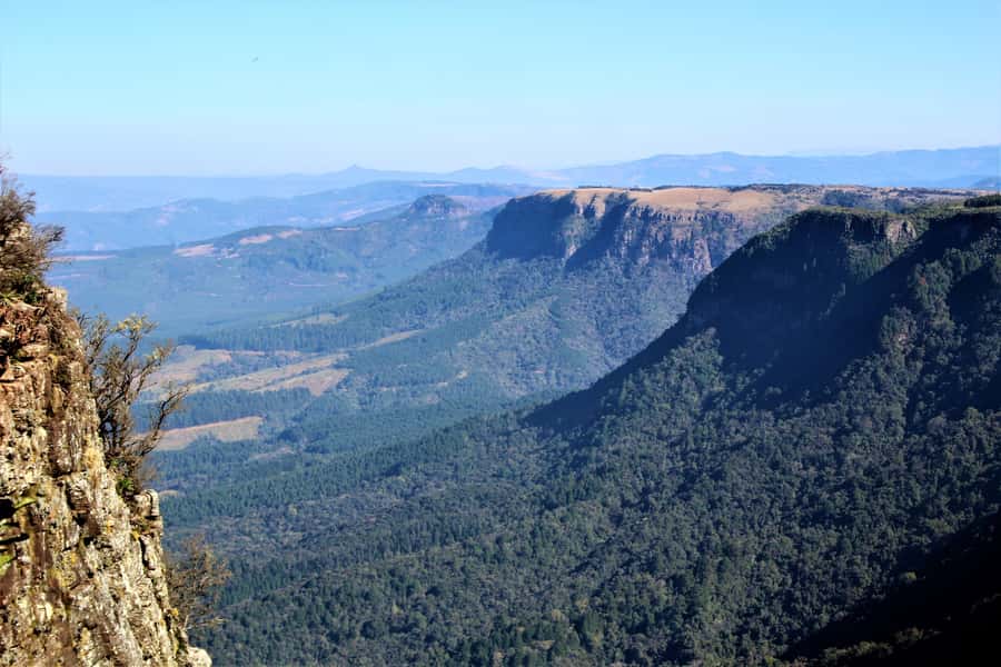 From Hazyview: Full-Day Panorama Route & Gorge Lift Tour - God’s Window and Wonderview: views that need clear weather