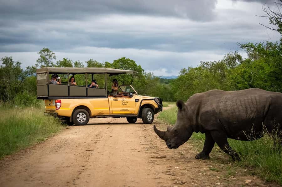 From Hazyview: Kruger National Park Full-Day Safari - The first game drive is usually the strongest