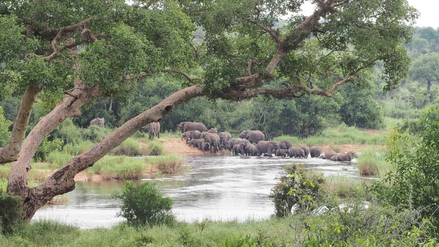 From Johannesburg: 2-Day Safari into Kruger National Park - Dinner near the camp, with food costs in mind