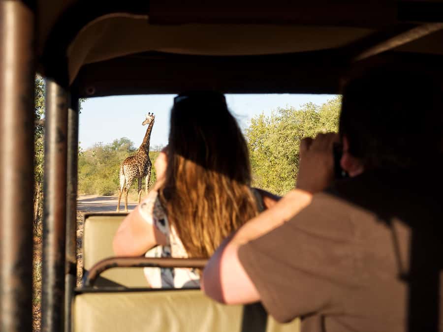 From Johannesburg: 3-Day Budget Tent Kruger Park Safari - What $653 Buys You in Three Days
