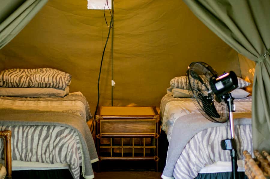 From Johannesburg: 3-Day Budget Tent Kruger Park Safari - Marc’s Camp and the Morning Walk