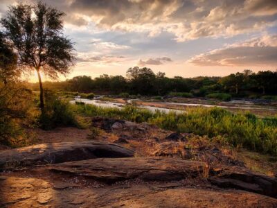 3-Day Budget Tent Kruger Park Safari